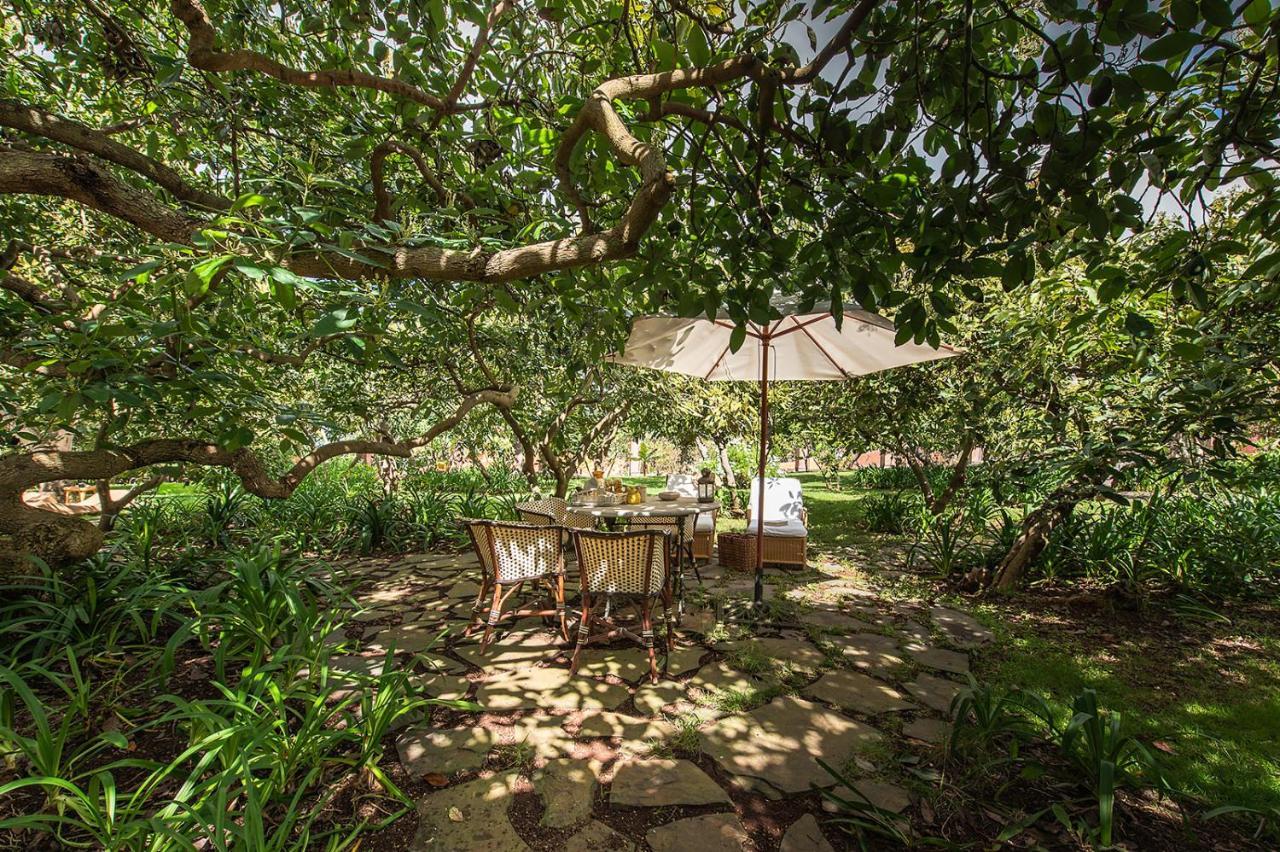 Homeforguest Rural House With Garden El Laurel Tacoronte Exterior foto
