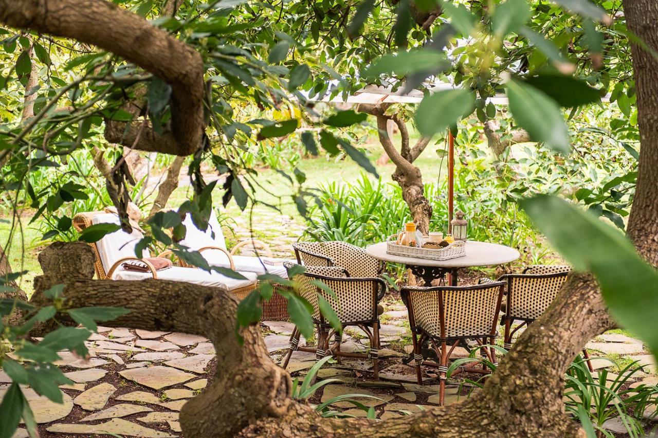 Homeforguest Rural House With Garden El Laurel Tacoronte Exterior foto