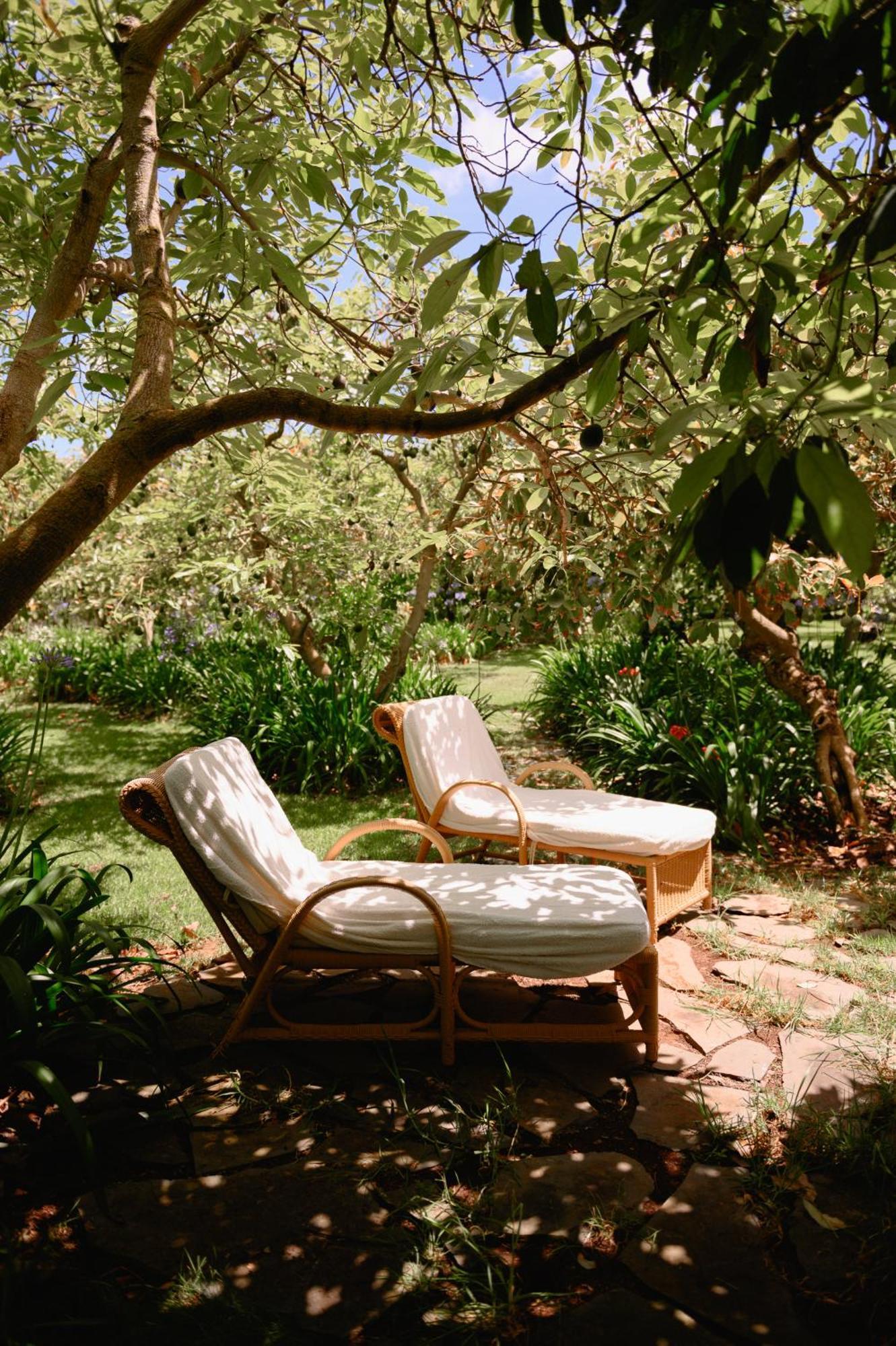 Homeforguest Rural House With Garden El Laurel Tacoronte Exterior foto